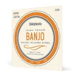 Banjo 4 Cuerdas