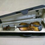 Violin Corina